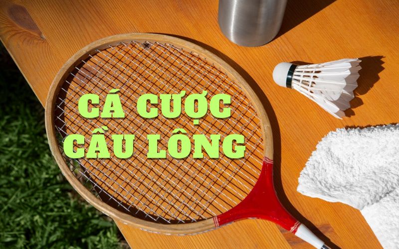 Khám phá luật và các kèo cược cầu lông tại cổng game Gemwin