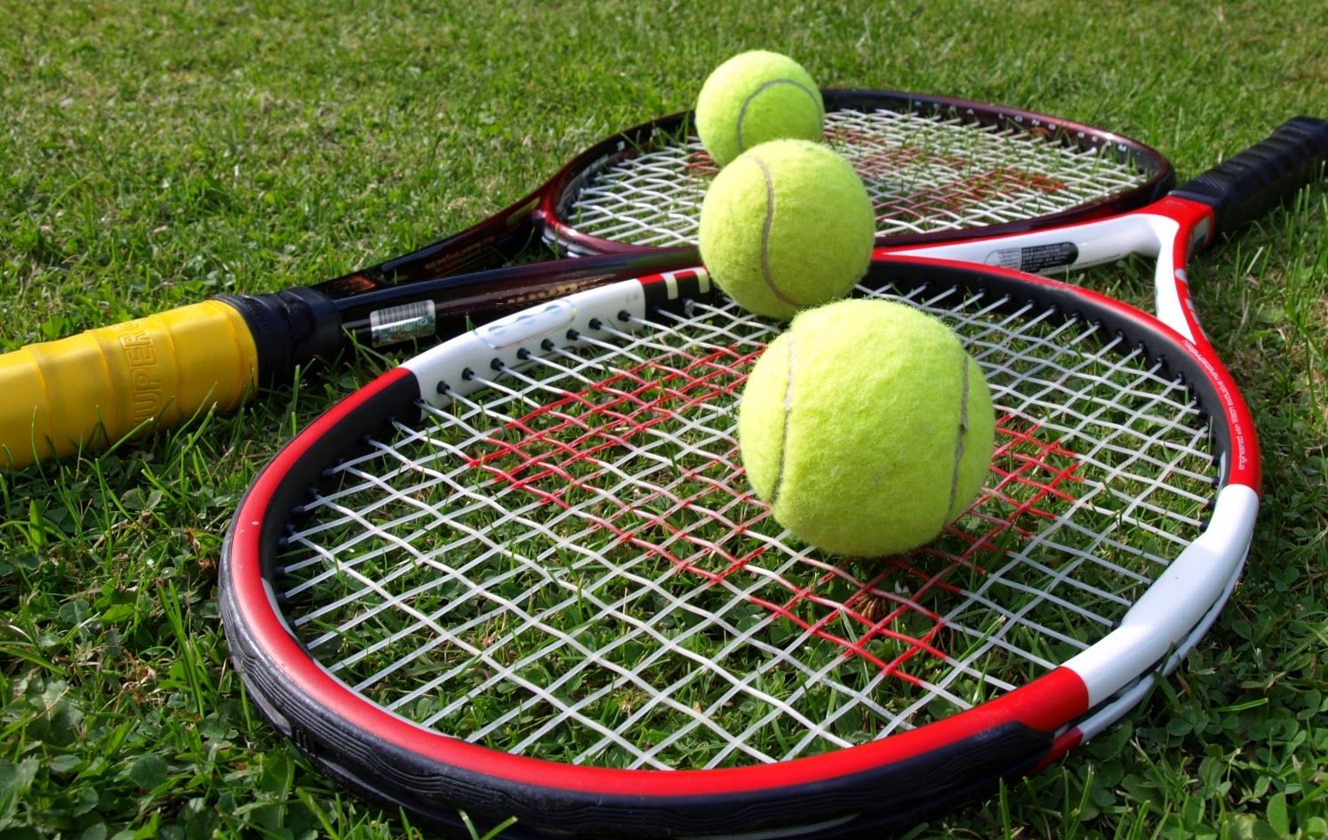 Cách cá cược tennis chỉ có thắng tại cổng game Gemwin