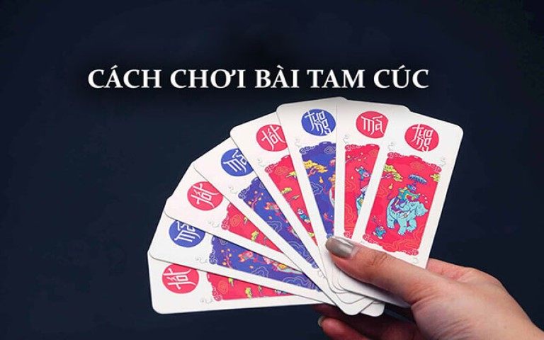 Luật cơ bản newbie cần nắm về bộ bài tam cúc tại Gemwin