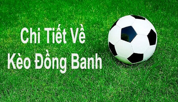 Những lưu ý quan trọng khi đặt cược kèo chấp đồng banh